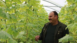 Azad and his siblings are now diligently working in their greenhouse