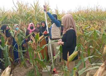 Capacity building of the Extension Department of the Agricultural Directorate and Farmers in Kirkuk Governorate - Iraq