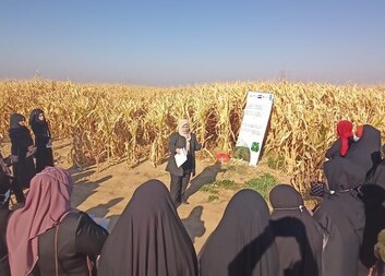 Capacity building of the Extension Department of the Agricultural Directorate and Farmers in Ninewa Plains - Ninewa Governorate – Iraq  